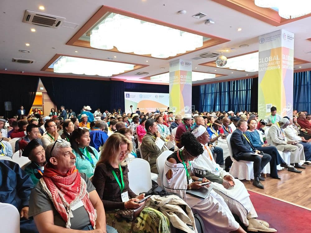 When 400 People Share One Conversation: Omnio at the Global Pastoralist Gathering, Mongolia